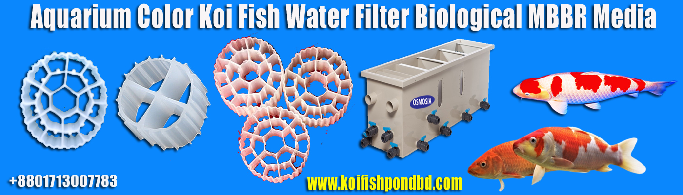 Aquarium Ornamental Fish Tank Filter in Dhaka Bangladesh, Aquarium Ornamental Fish Tank Water Filter in Dhaka Bangladesh