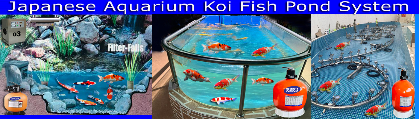 Koi Pond Design Company in Dhaka Bangladesh, Garden Koi Pond Design Company in Dhaka Bangladesh