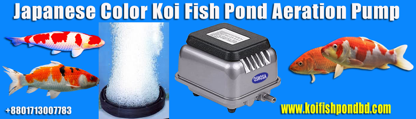 Koi Pond Equipment Price in Dhaka Bangladesh, Japanese Koi Pond Equipment Price in Dhaka Bangladesh