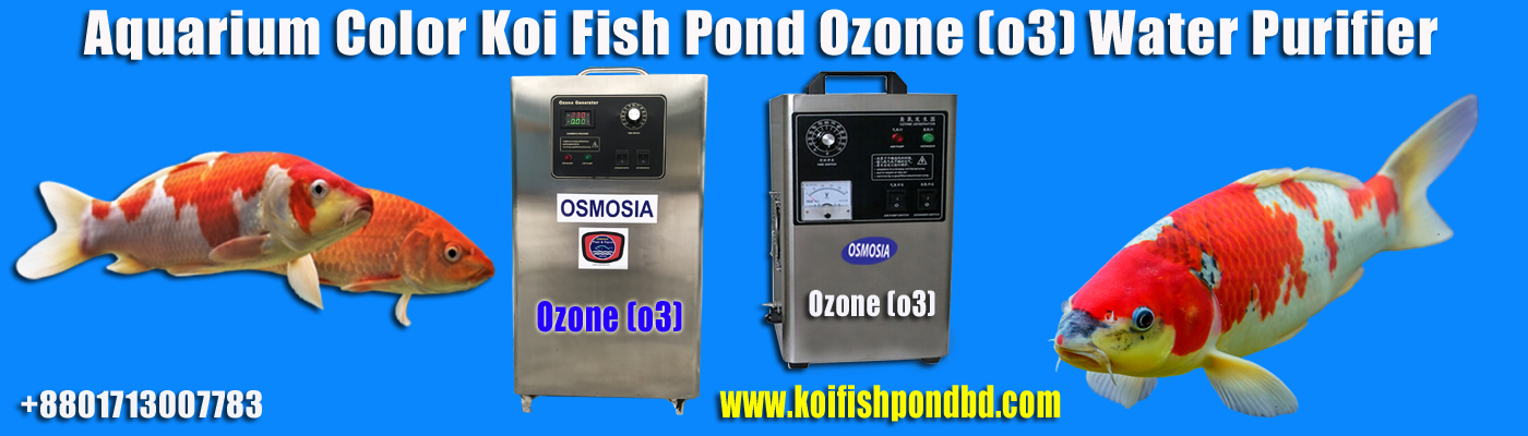 Aquarium Koi Pond Ozone Machine Price in Dhaka Bangladesh, Japanese Koi Pond Ozone Generator Price in Dhaka Bangladesh