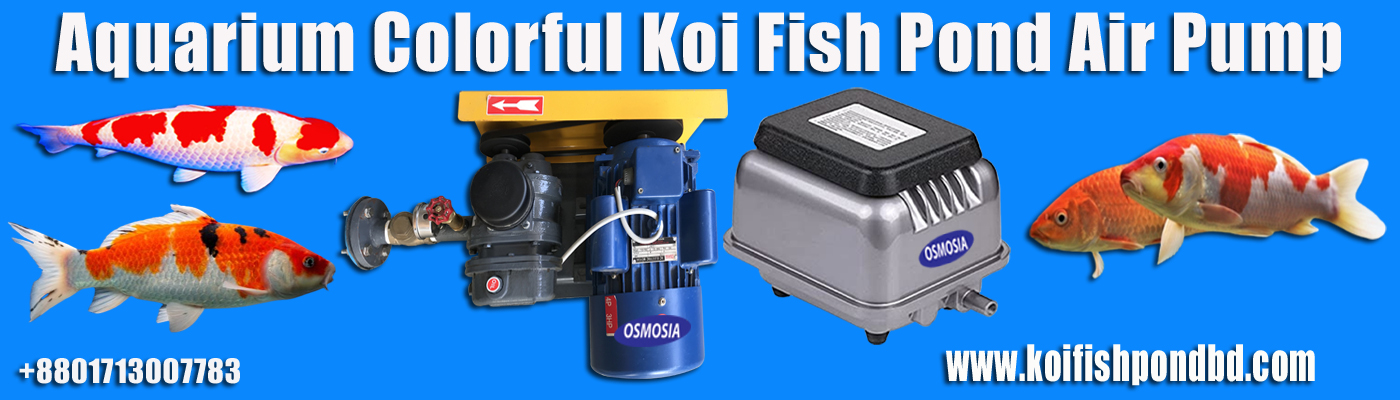 Ornamental Koi Pond Water Filter Price in Dhaka Bangladesh, Ornamental Koi Fish Pond Water Filter Price in Dhaka Bangladesh